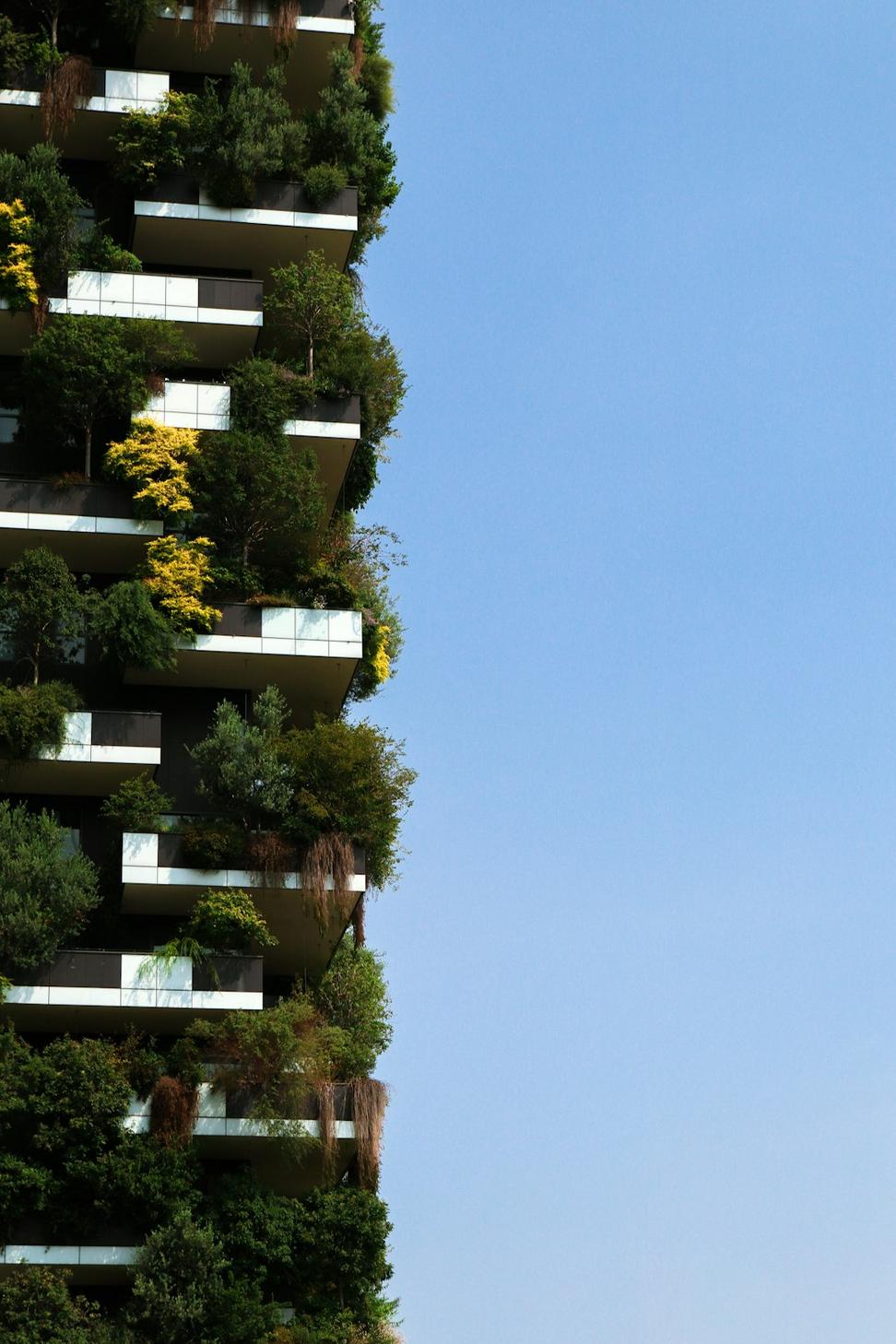 Architecture Award