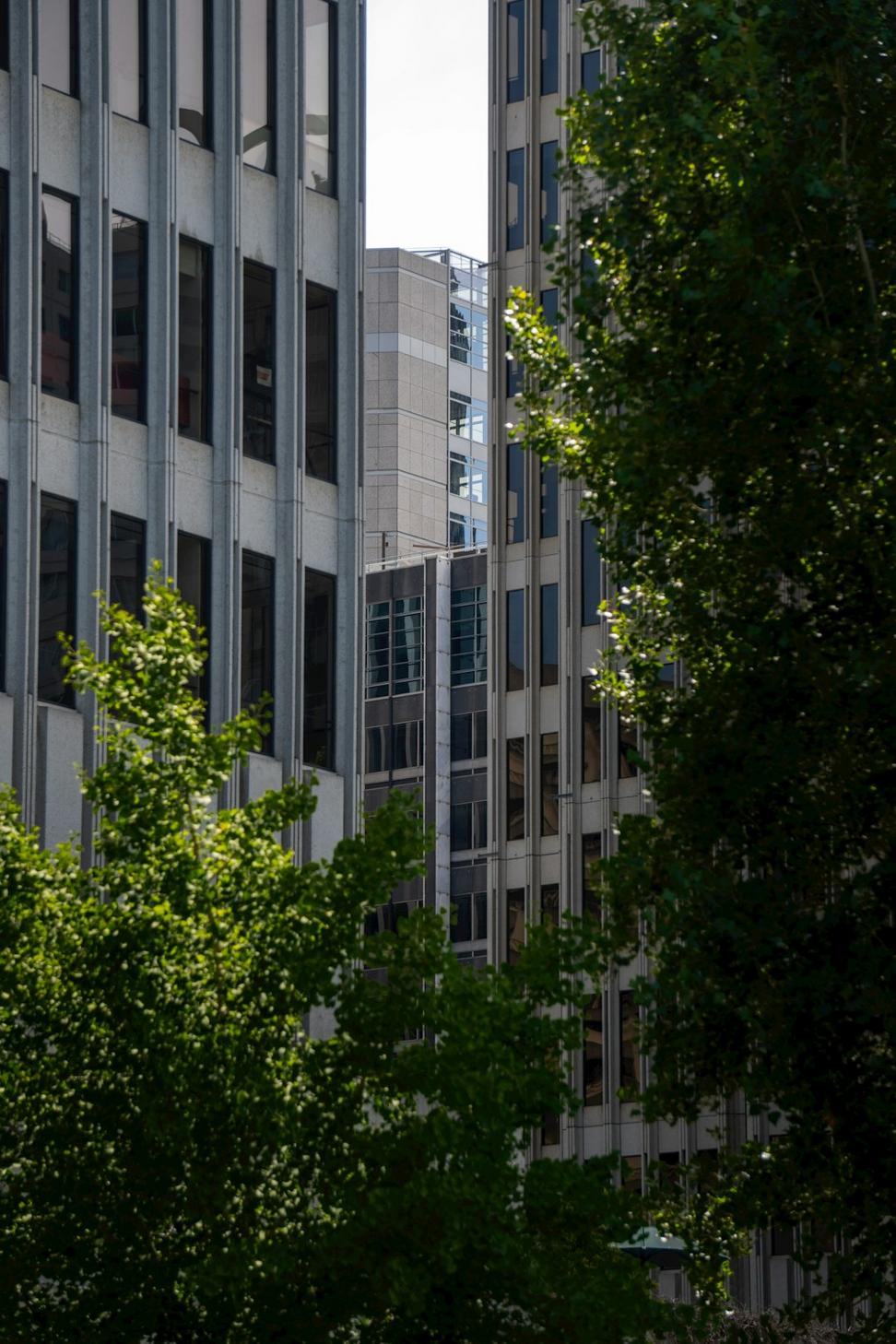 Urban Development